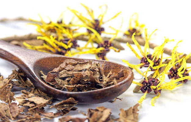witch-hazel-for-piles-treatment-at-home