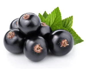 Fruit Name Black Currant