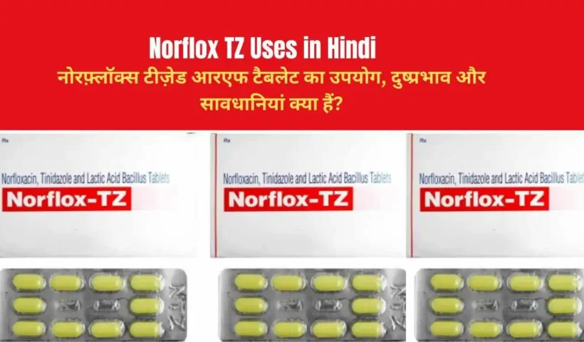Norflox TZ Uses in Hindi